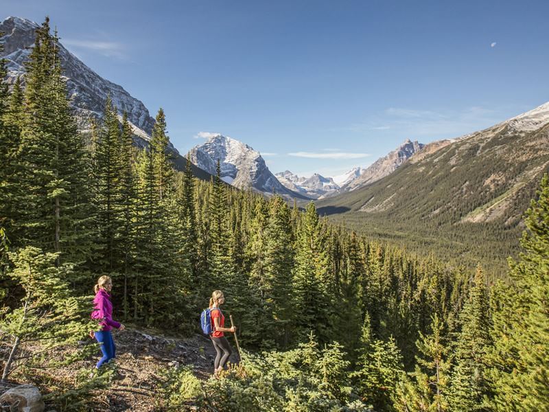 Альберта является домом для некоторых из самых захватывающих пейзажей Канады